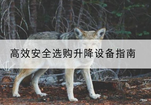 扎鲁特旗升降货梯厂家推荐-*安全选购升降设备指南