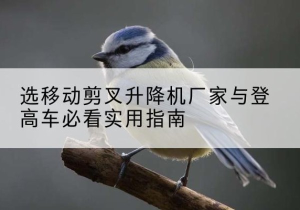 扎鲁特旗电动升降机厂家-选移动剪叉升降机厂家与登高车必看实用指南